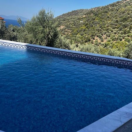 Maison Charme Avec Piscine Privee, Pres De La Mer A Sappounakeika, Tyros Sapounakeika エクステリア 写真